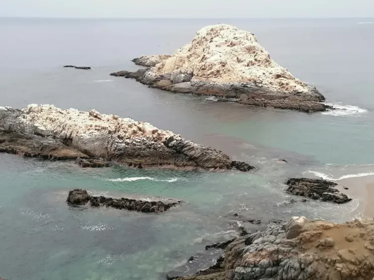 Fotografía 5 de Playa Pisagua en Huara, Tarapaca
